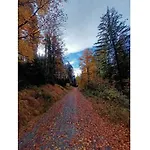 Berghaus Oberleitner - Peace And Relaxation 度假居