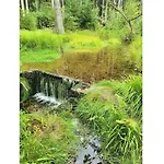 Berghaus Oberleitner - Peace And Relaxation *